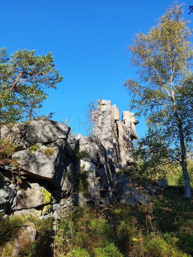 Gaestehaus Aurelia Wiesau Esterno foto